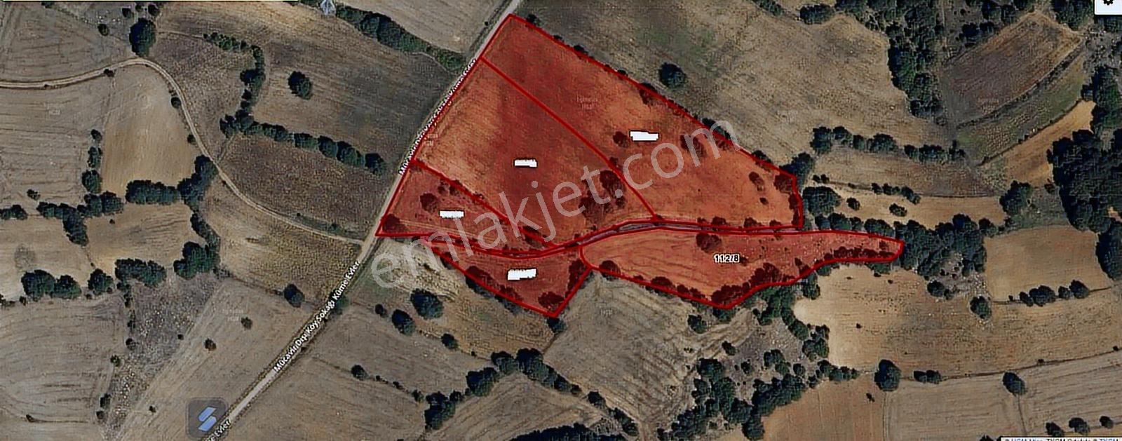 Dübekli Köyü Kadastro Yolu Olan Tarlalar - Görsel 2