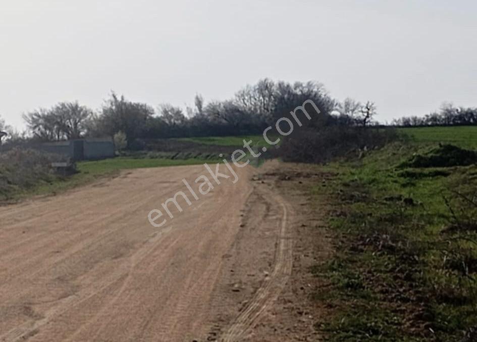 Edirne Lalapaşa Çallıdere Köyüne 250 Metre Mesafe Satılık Tarla - Görsel 2