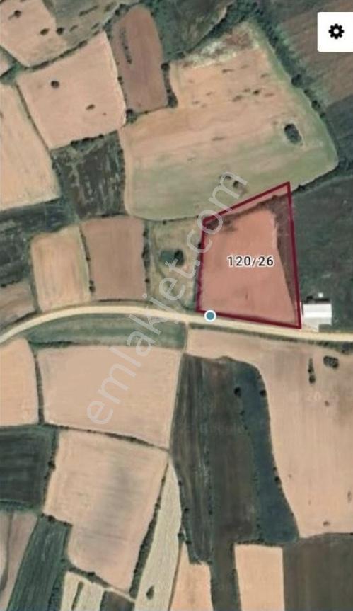 Edirne Lalapaşa Çallıdere Köyüne 250 Metre Mesafe Satılık Tarla - Görsel 4