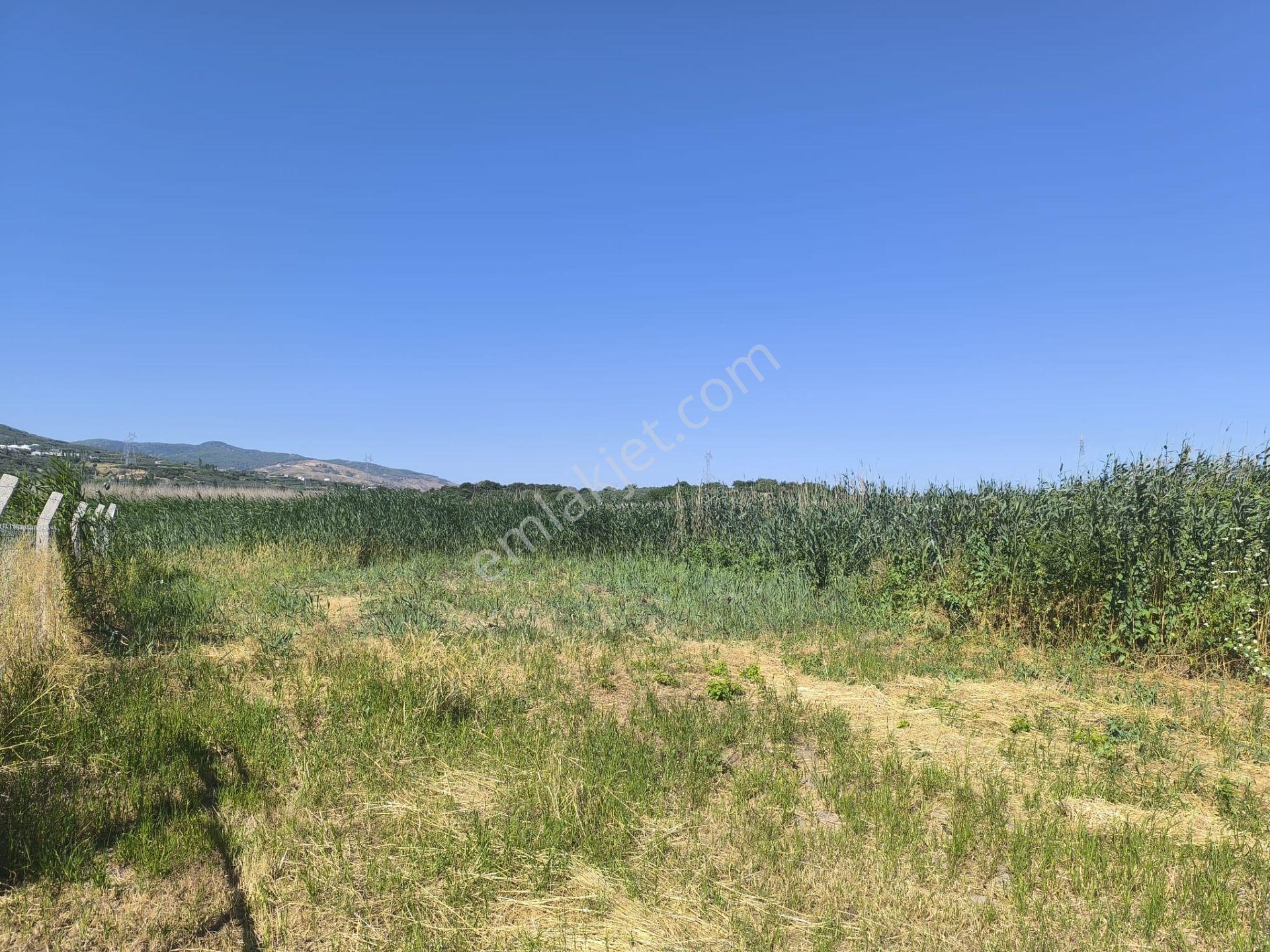 Balıkesir Erdek Hamamlı Mah. 1335 M2 Satılık Tarla Yatırımlık Denize Yakın - Görsel 13