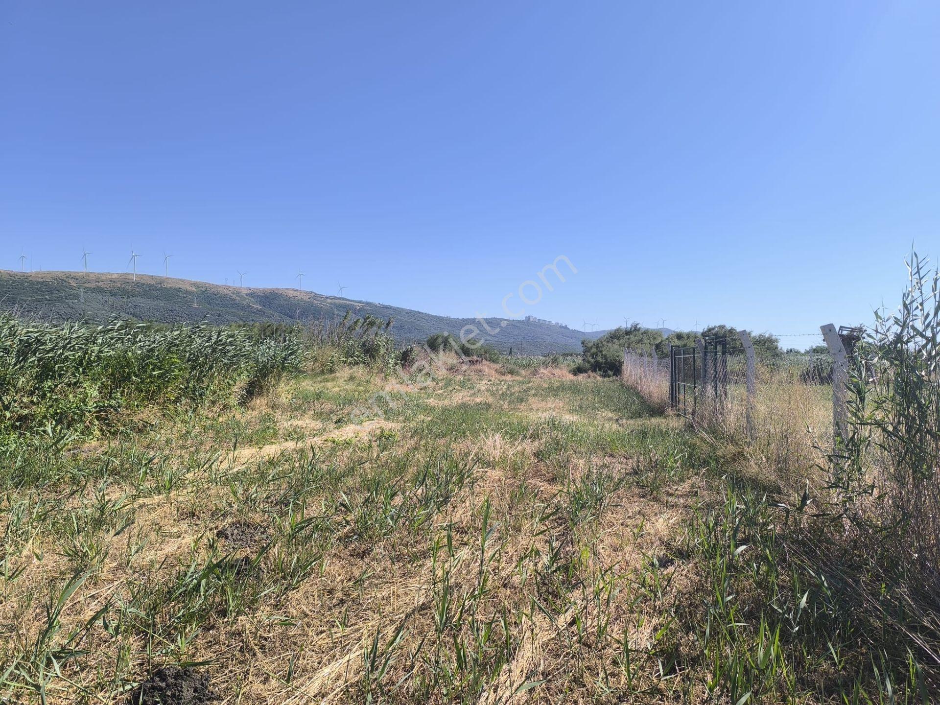 Balıkesir Erdek Hamamlı Mah. 1335 M2 Satılık Tarla Yatırımlık Denize Yakın - Görsel 20
