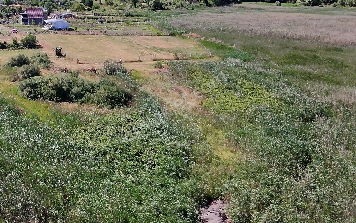 Balıkesir Erdek Hamamlı Mah. 1335 M2 Satılık Tarla Yatırımlık Denize Yakın - Görsel 3