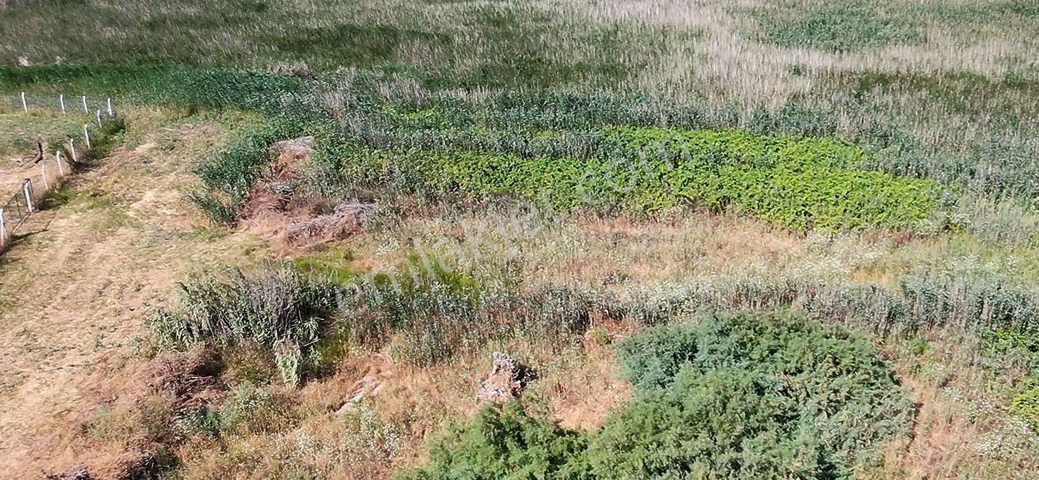 Balıkesir Erdek Hamamlı Mah. 1335 M2 Satılık Tarla Yatırımlık Denize Yakın - Görsel 8