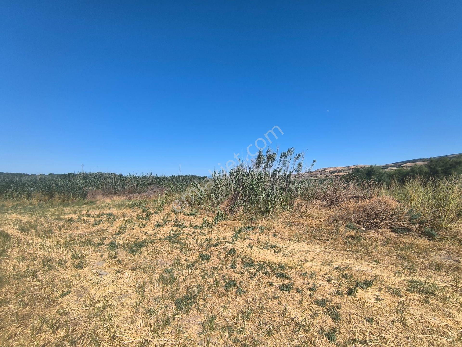 Balıkesir Erdek Hamamlı Mah. 1335 M2 Satılık Tarla Yatırımlık Denize Yakın - Görsel 21