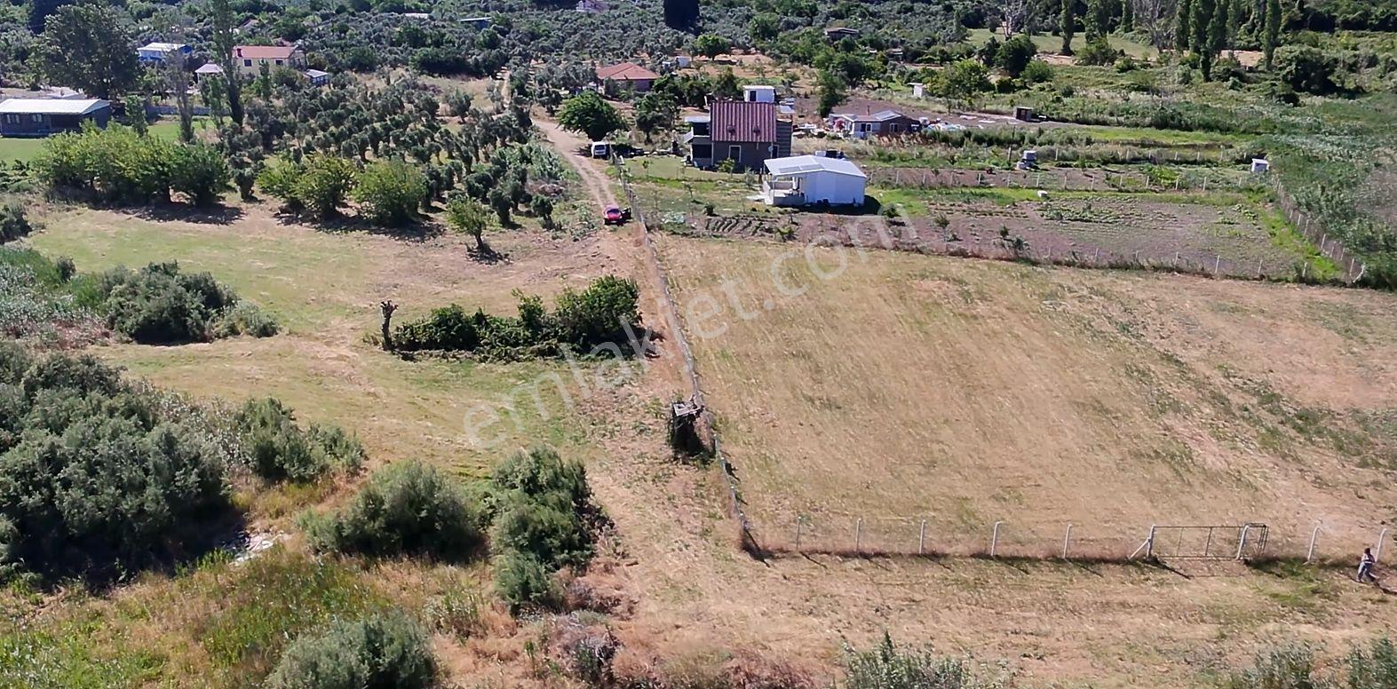 Balıkesir Erdek Hamamlı Mah. 1335 M2 Satılık Tarla Yatırımlık Denize Yakın