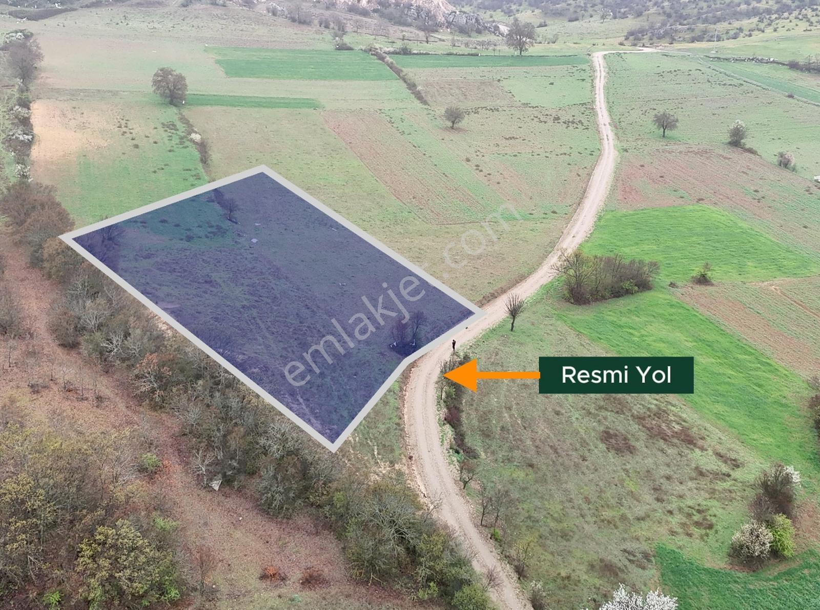 Balıkesir Sındırgı'da 2.366 M2 Yola Cephe Dümdüz Fırsat Arazi ! - Görsel 12
