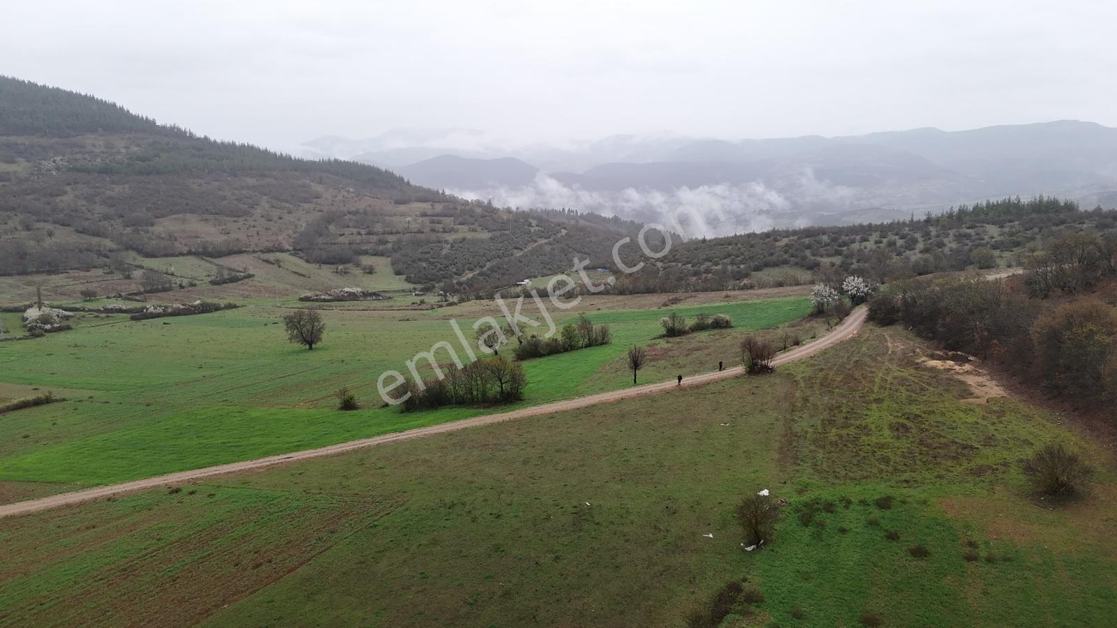 Balıkesir Sındırgı'da 2.366 M2 Yola Cephe Dümdüz Fırsat Arazi ! - Görsel 10