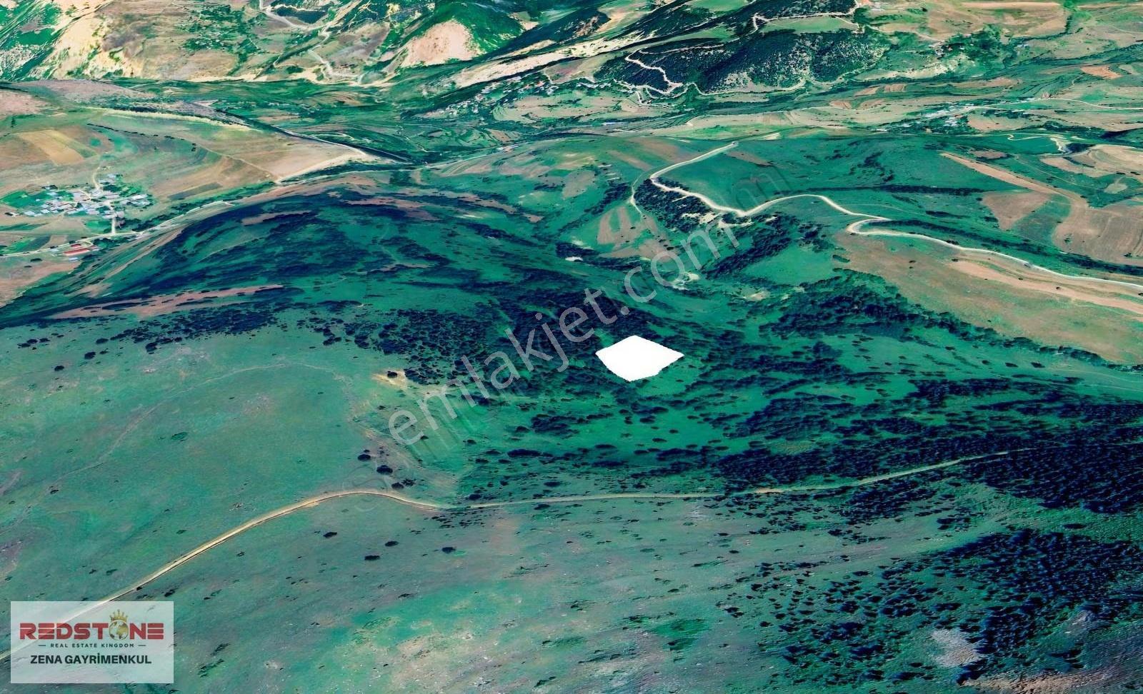Artvin Ardanuç 5582m² Doğayla İç İçe Yatırım Fırsatı - Görsel 5