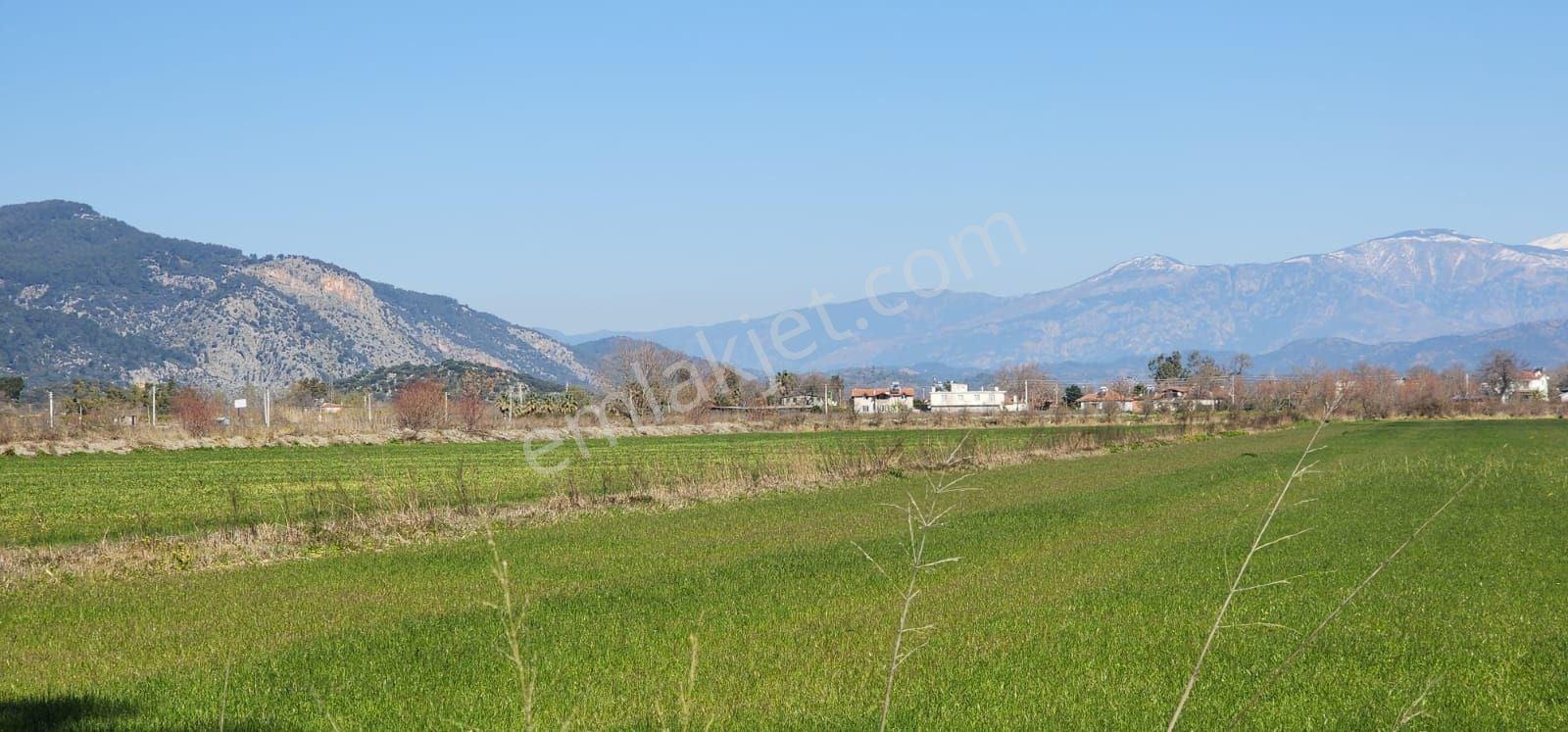 Ortaca Güzelyurt'ta Sarıgerme Yoluna Yakın 5.000m² Satılık Tarla - Görsel 6