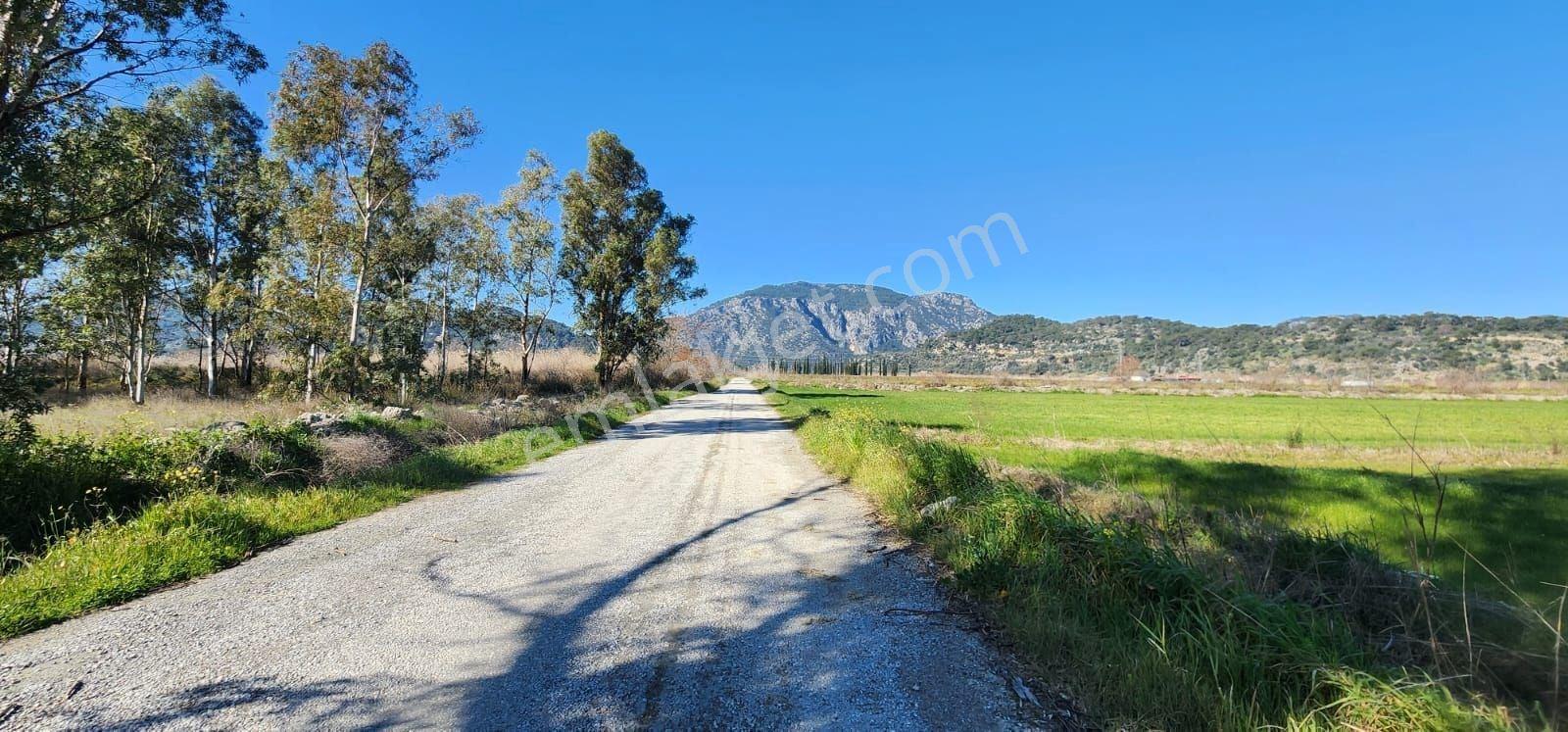 Ortaca Güzelyurt'ta Sarıgerme Yoluna Yakın 5.000m² Satılık Tarla