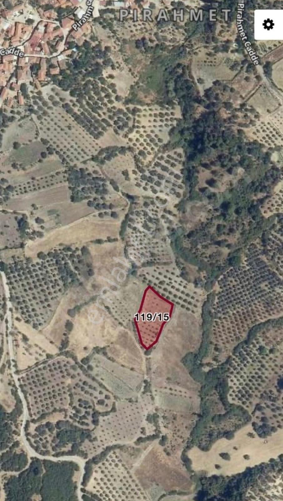 Pirahmet Köyü Yakınında 62 Adet Satılık Zeytinlik - Görsel 3