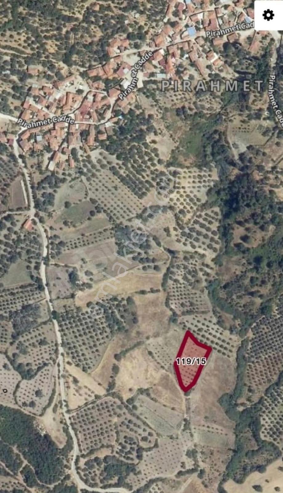 Pirahmet Köyü Yakınında 62 Adet Satılık Zeytinlik - Görsel 12