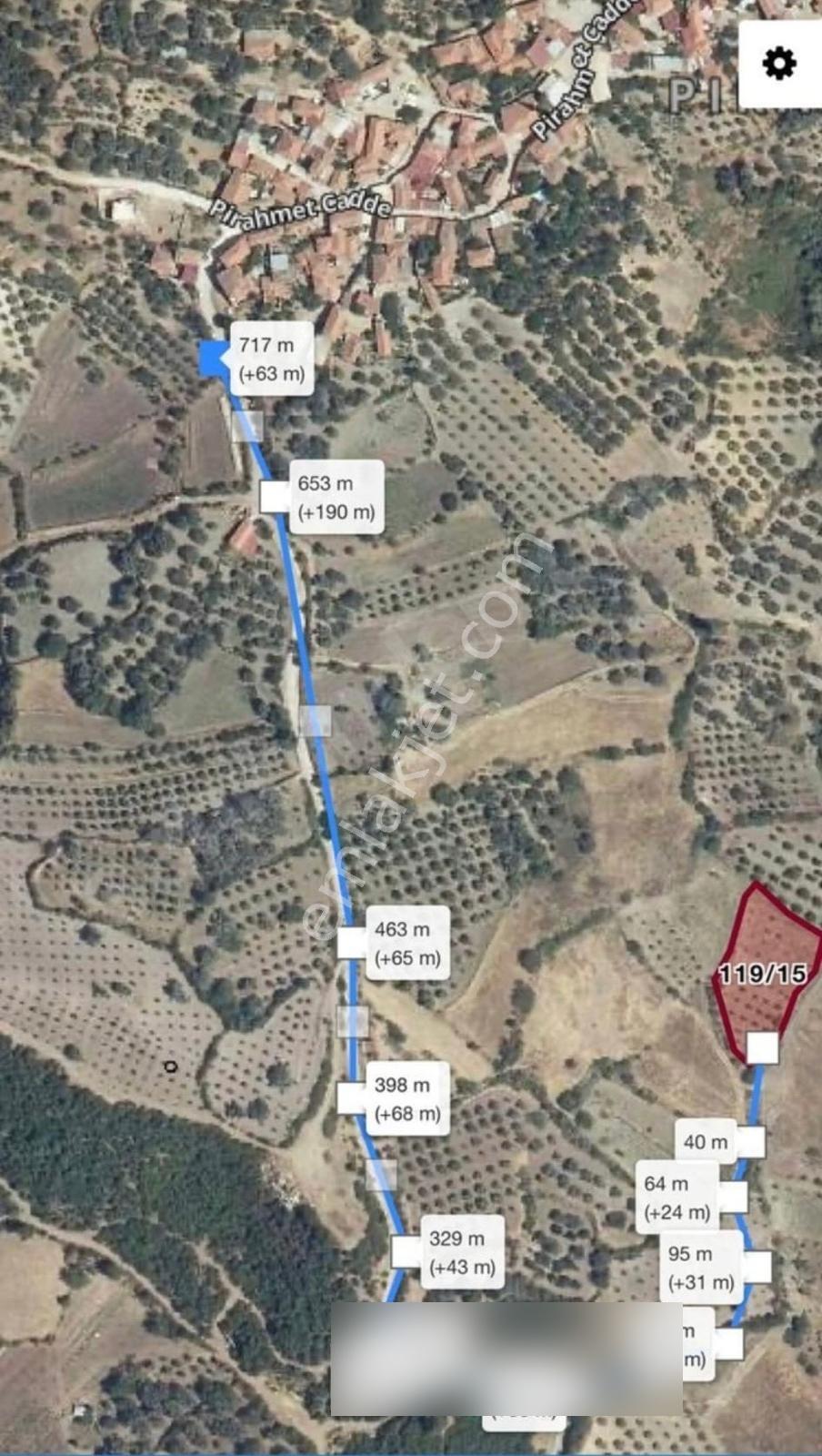 Pirahmet Köyü Yakınında 62 Adet Satılık Zeytinlik - Görsel 4