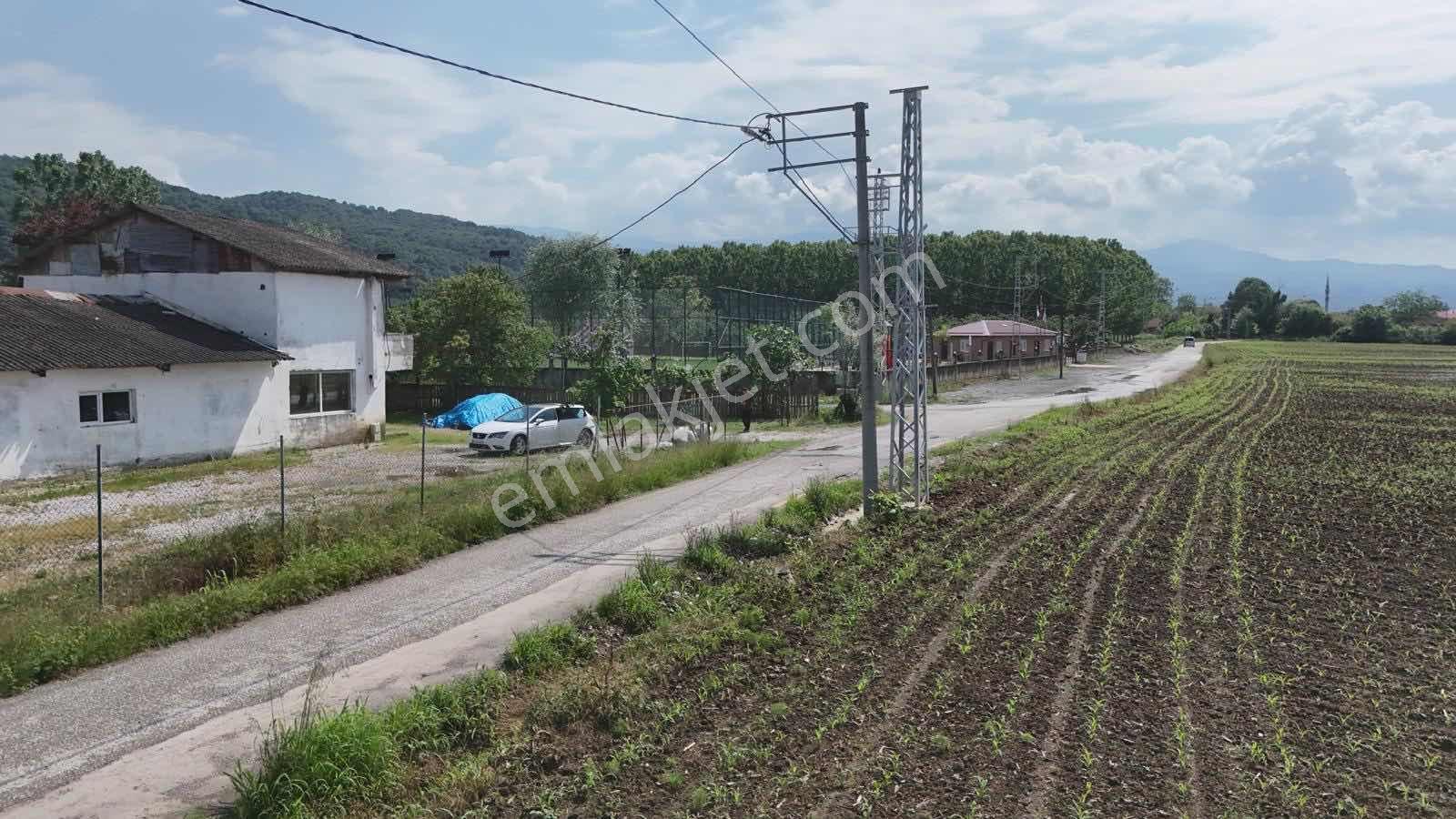 Yön Group Tan Kiralık Depo Antrepo - Görsel 6