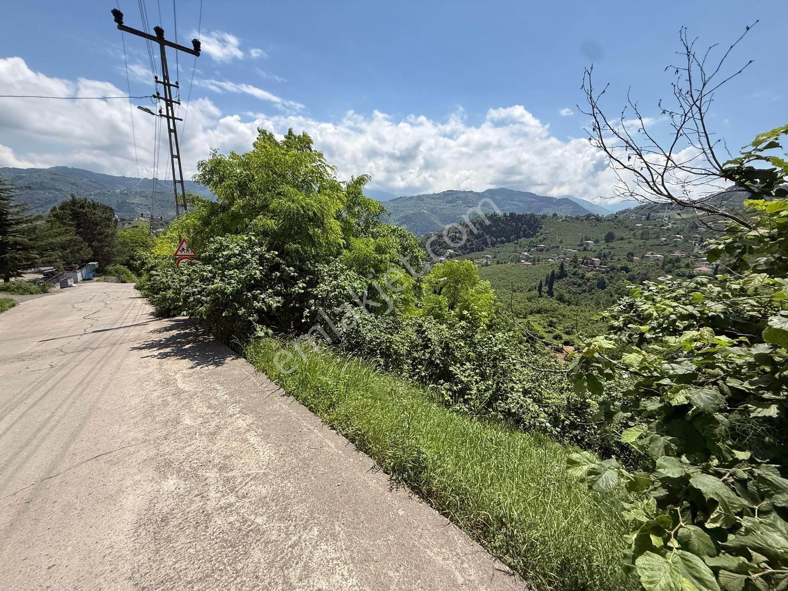 Trabzon'da Satılık Arazi - Görsel 20