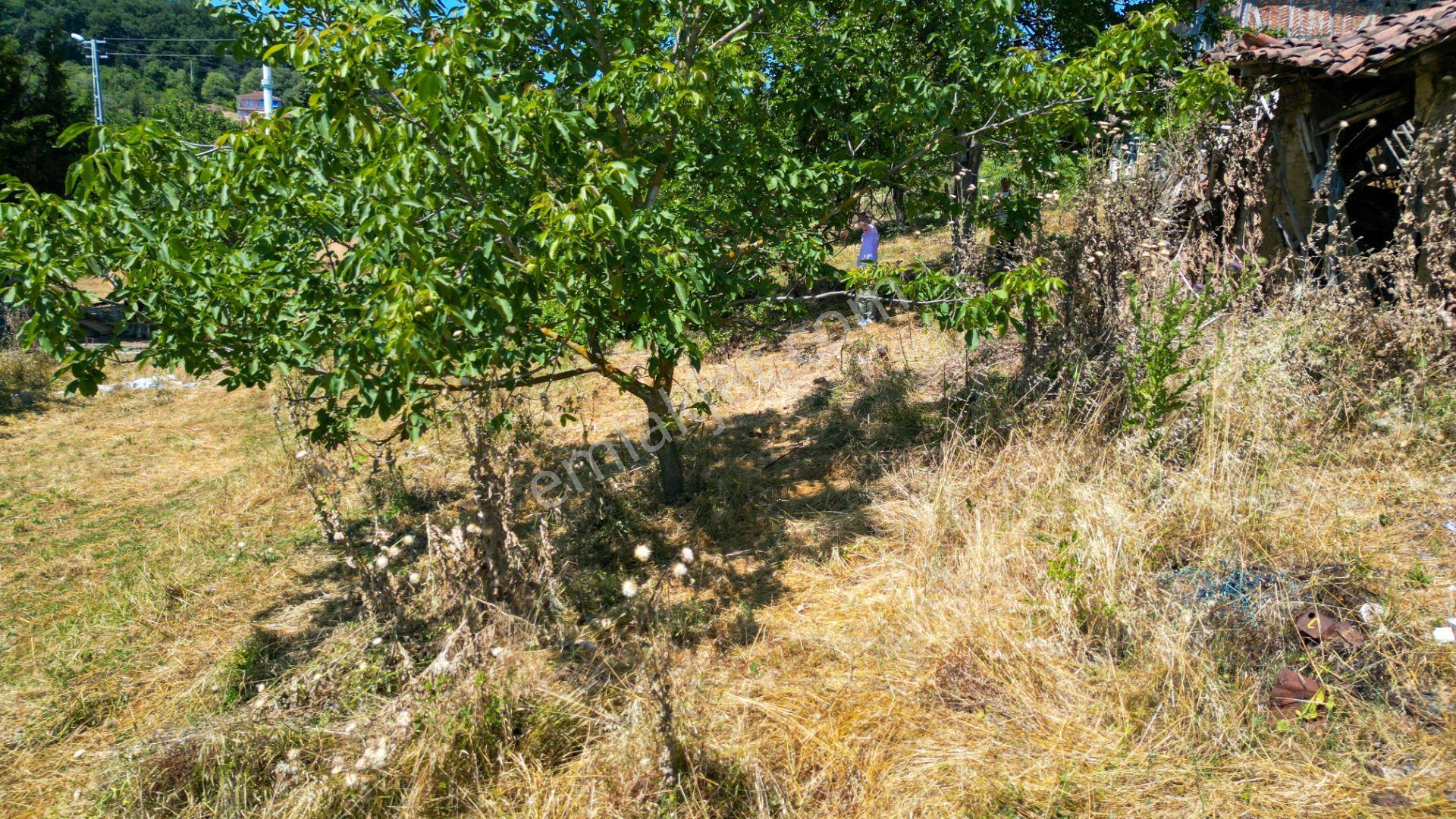 Karamürsel Karaahmetli 825 M2 Konut İmarlı Satılık Arsa - Görsel 10