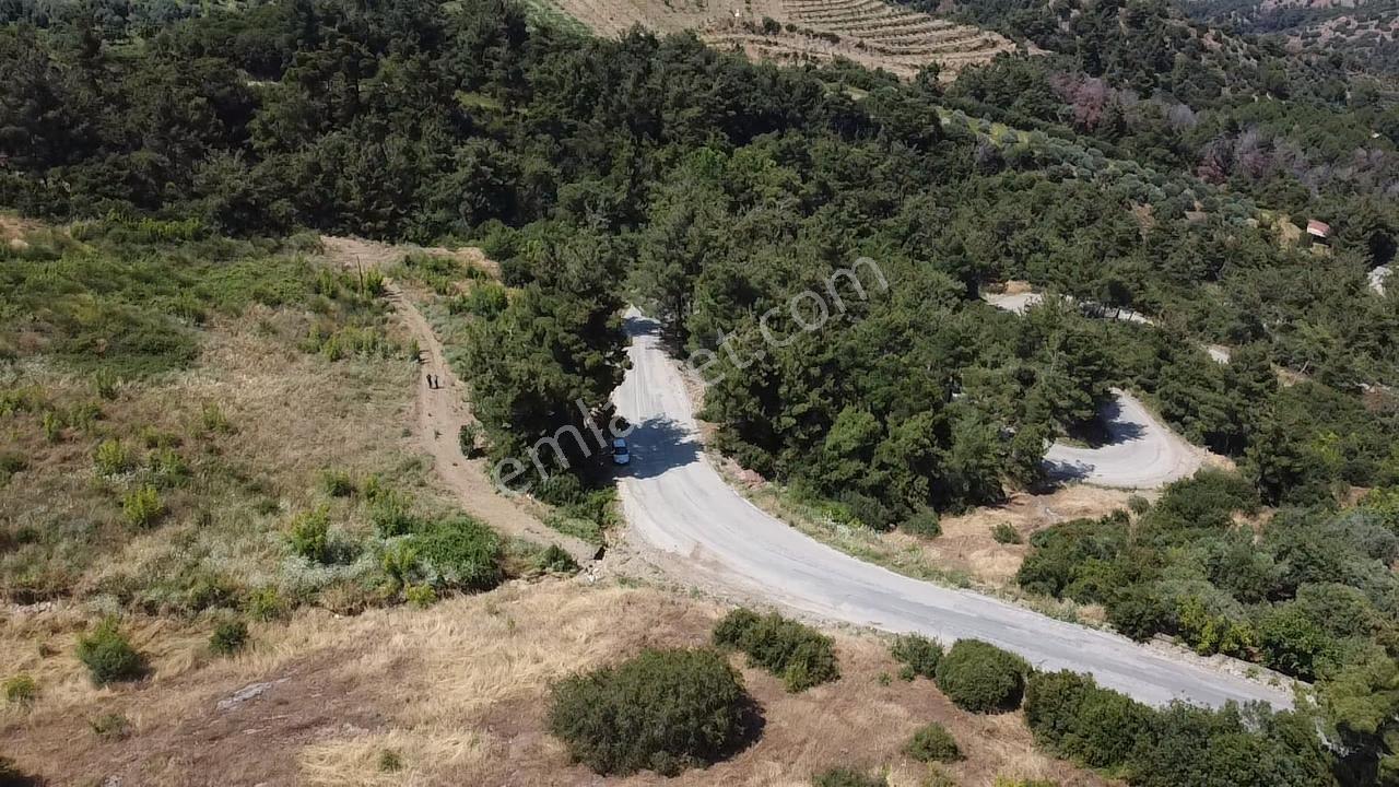 Kurşunlu Kaplıcaları Üzerinde Asfalt Yola Cepheli Yatırımlık Arazi - Görsel 11