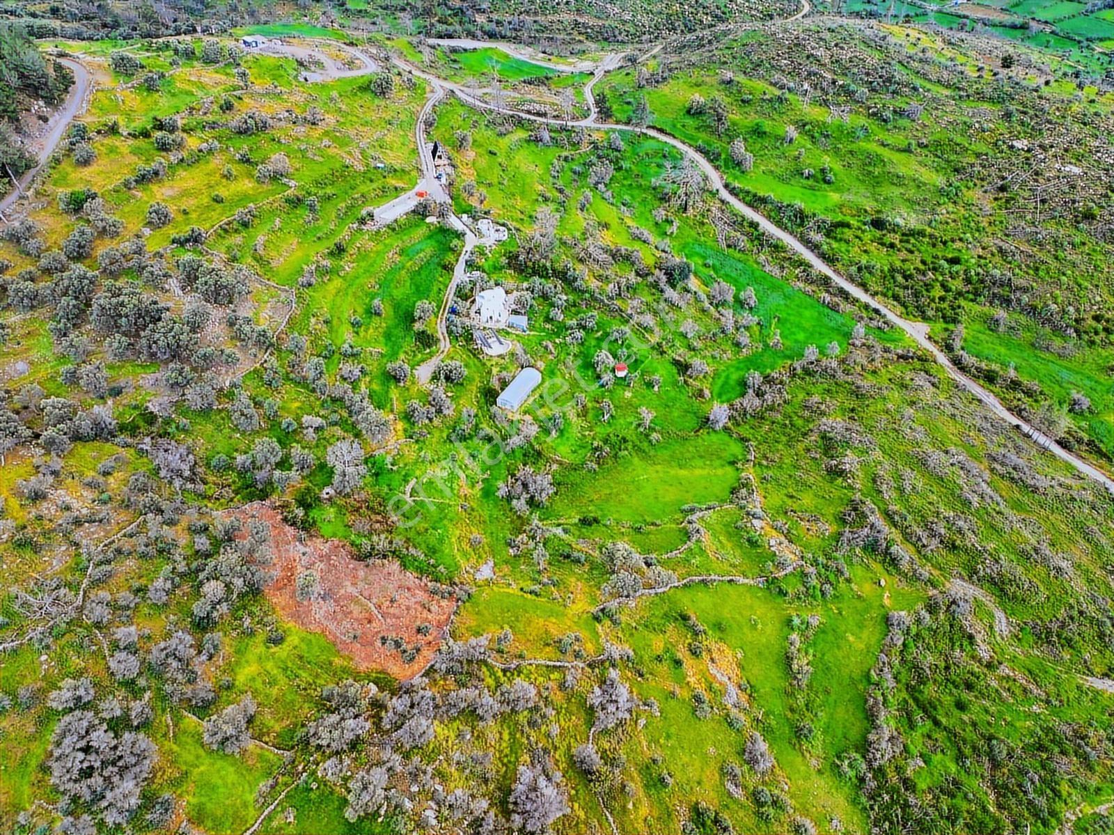 Bodruma 30km Mesafede Tek Tapu Yatırımlık Tarla - Görsel 6