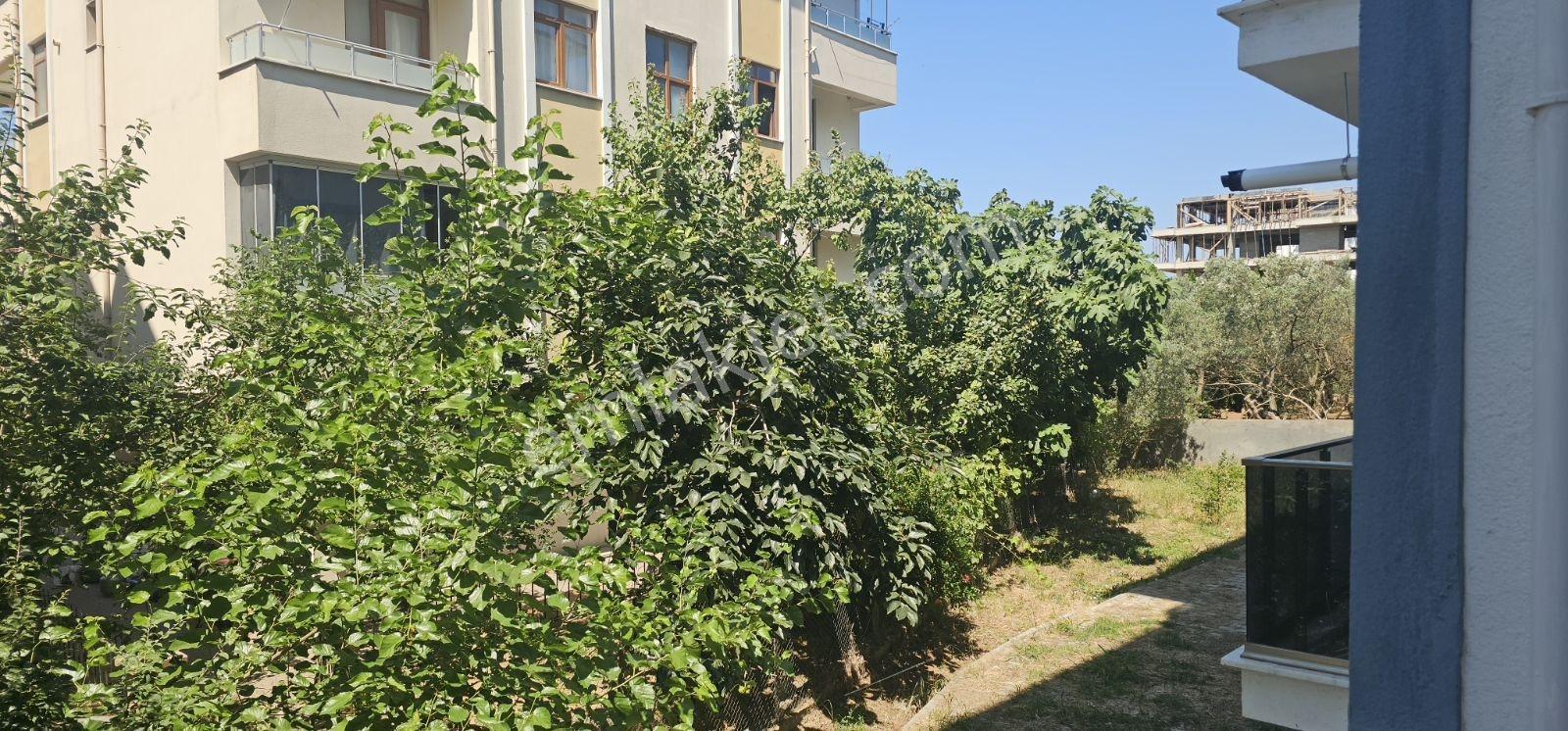 İskele Merkez Civarı Bahçeli Kiralık 3+1 - Görsel 10