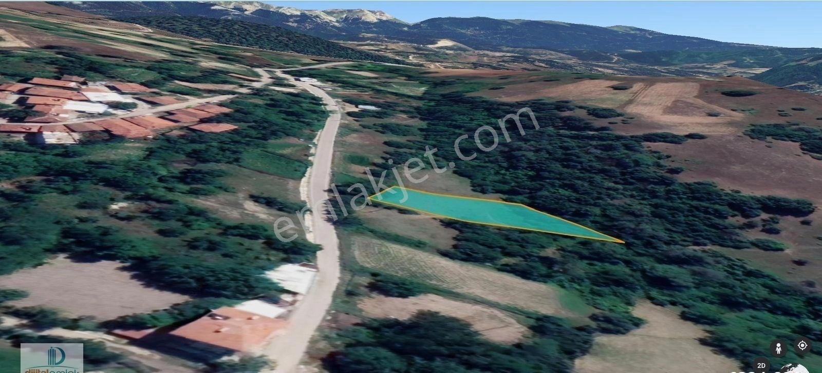 Osmangazi Güneybudaklar Köy İçinde 930 M2 Satılık Kıymetli Bahçe - Görsel 12