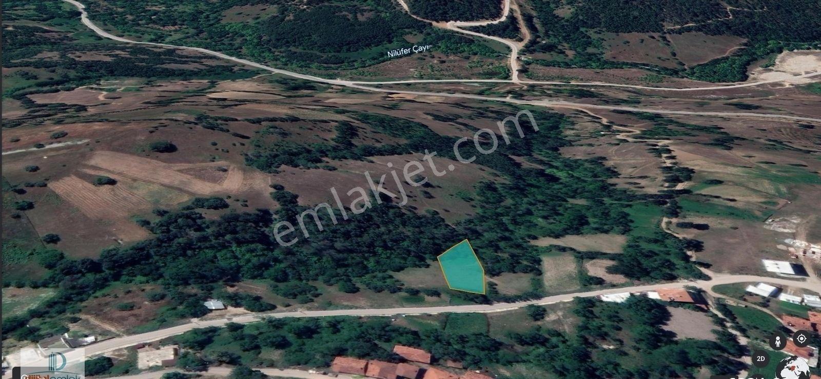 Osmangazi Güneybudaklar Köy İçinde 930 M2 Satılık Kıymetli Bahçe - Görsel 9