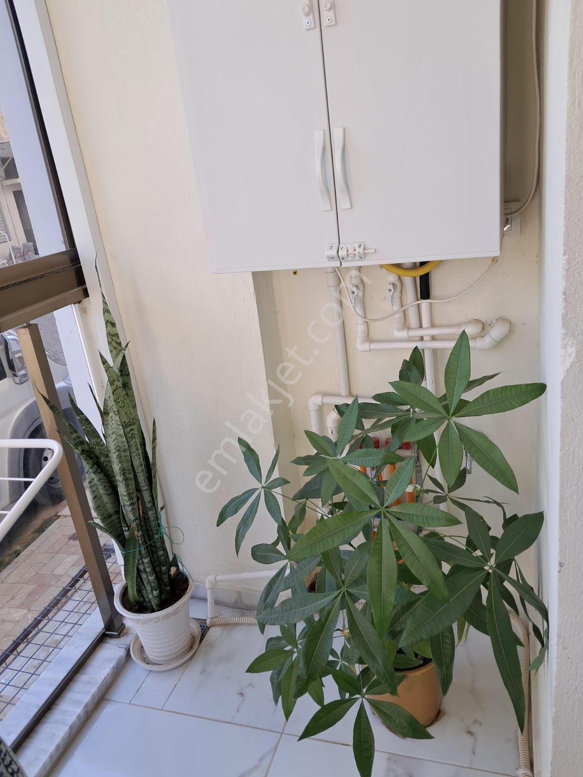 Pınarbaşı’nda Sıfır Ayarında, Full Eşyalı Ve Müstakil Bahçeli Kiralık 3+1 Daire - Görsel 29
