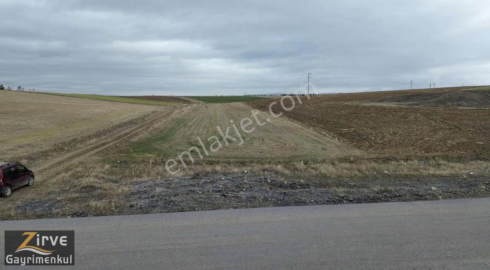 Zirve'den Sanayi İmarını Sınır Köşe Başı 4443metre Tektapu Tarla - Görsel 25