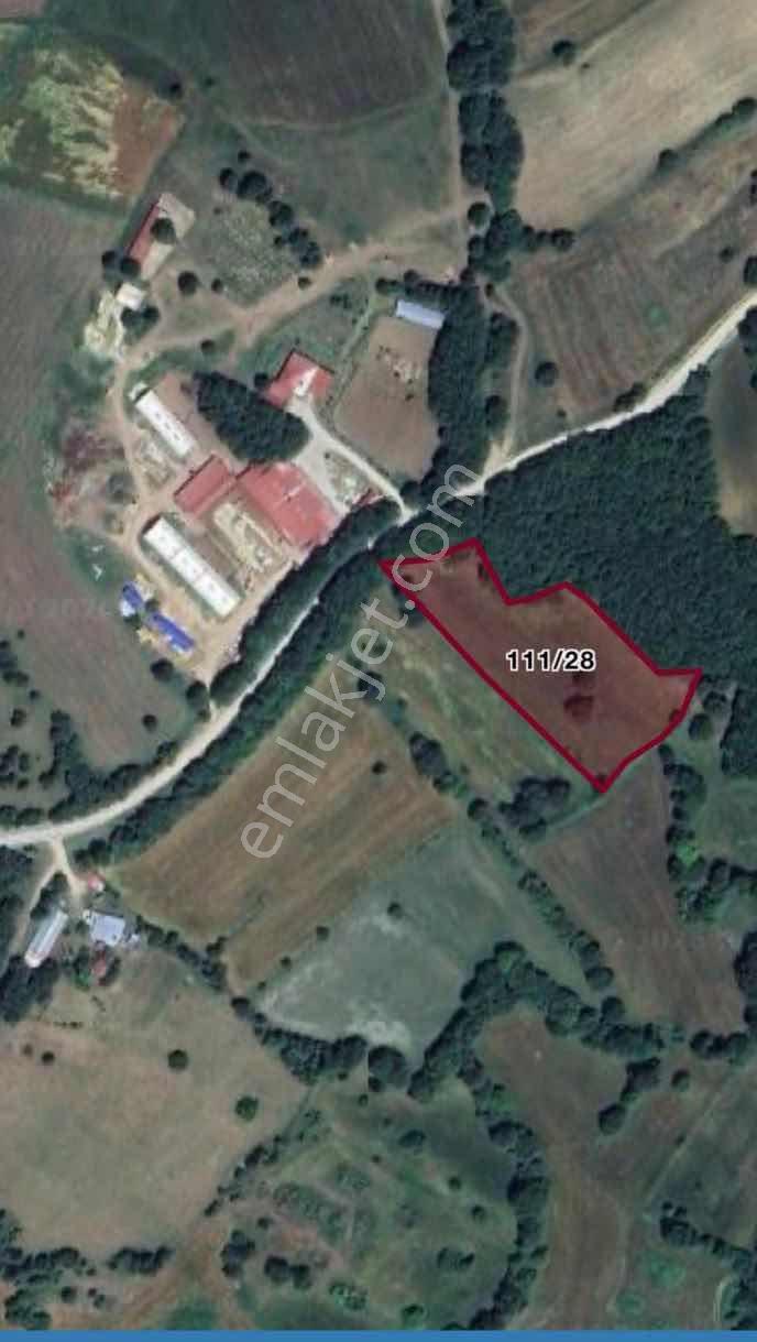 Truva//uğur Gök, Yola Cephe Villa -çiftlik Arsası - Görsel 3