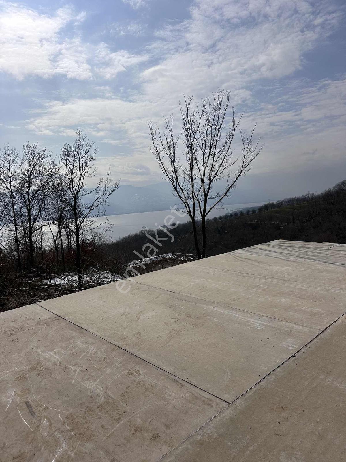 Satılık 2 Dönüm Tatla Tek Hisseli Tapu Önü Orman Kapanmaz - Görsel 2