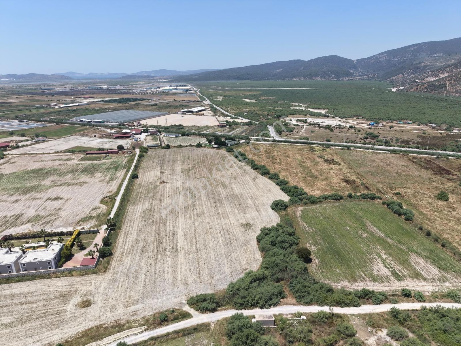 Doğadan Milas Avşar Havalimanı Yanı 45 Dönüm Yatırımlık Arazi - Görsel 5