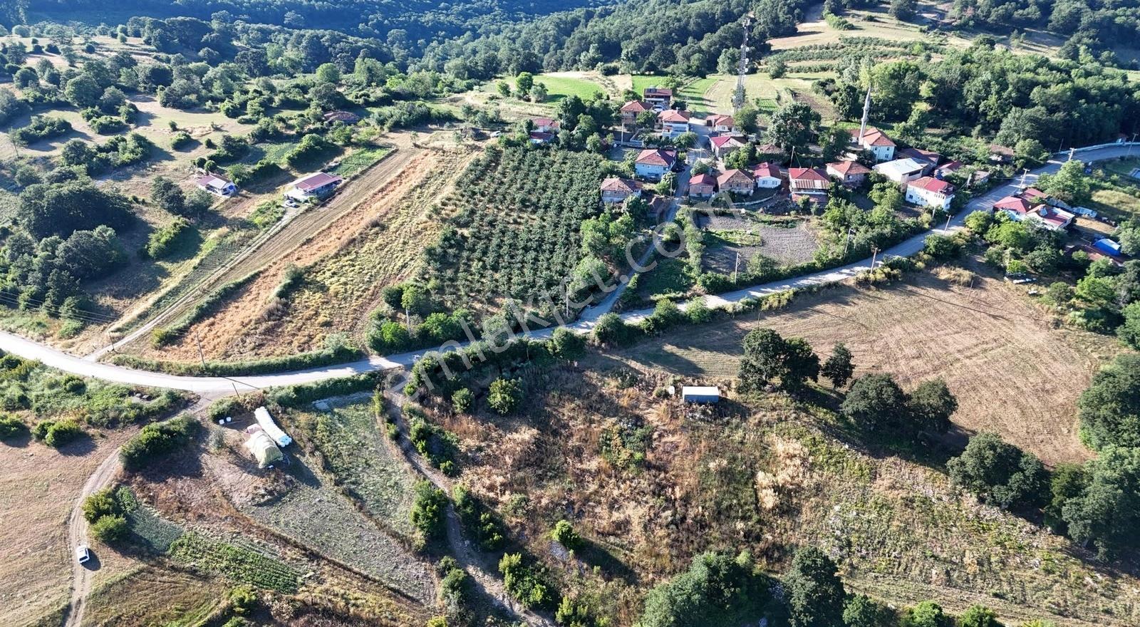 Müstakil Tapulu Yatırımlık Tarla Köye Ve Asfalt Yola Yakın