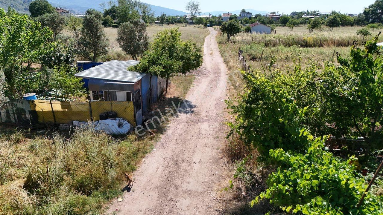 Realty Nexus'dan Gençali'de 1.351 M² Tek Tapu Bahçe - Görsel 3