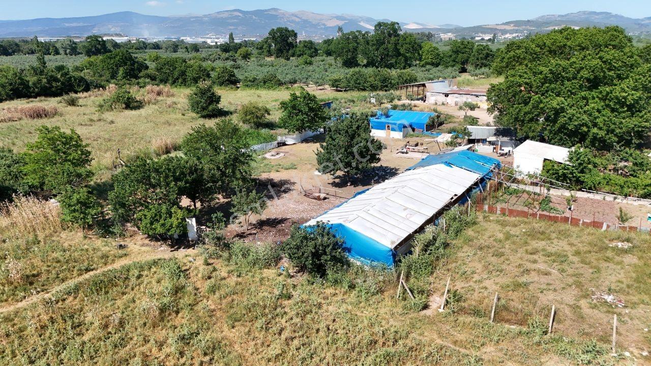Realty Nexus'dan Gençali'de 1.351 M² Tek Tapu Bahçe - Görsel 6