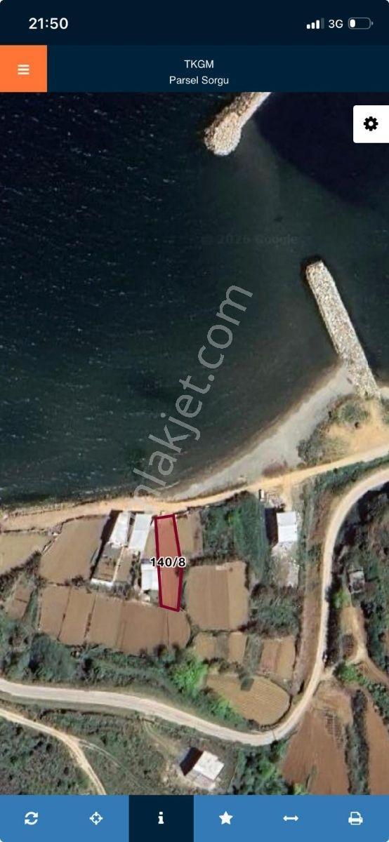 Denize Kumsala Sıfır İmara Açık Fırsat Arazi 428 M2 Doğa Deniz