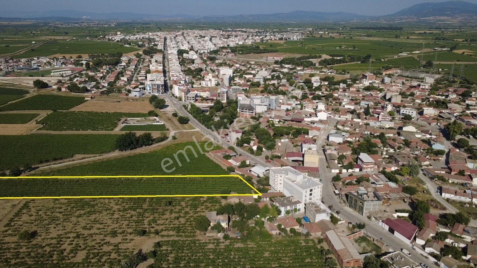 Manisa Saruhanlı İmar Dibi Yatırımlık Bağ 2864 M2