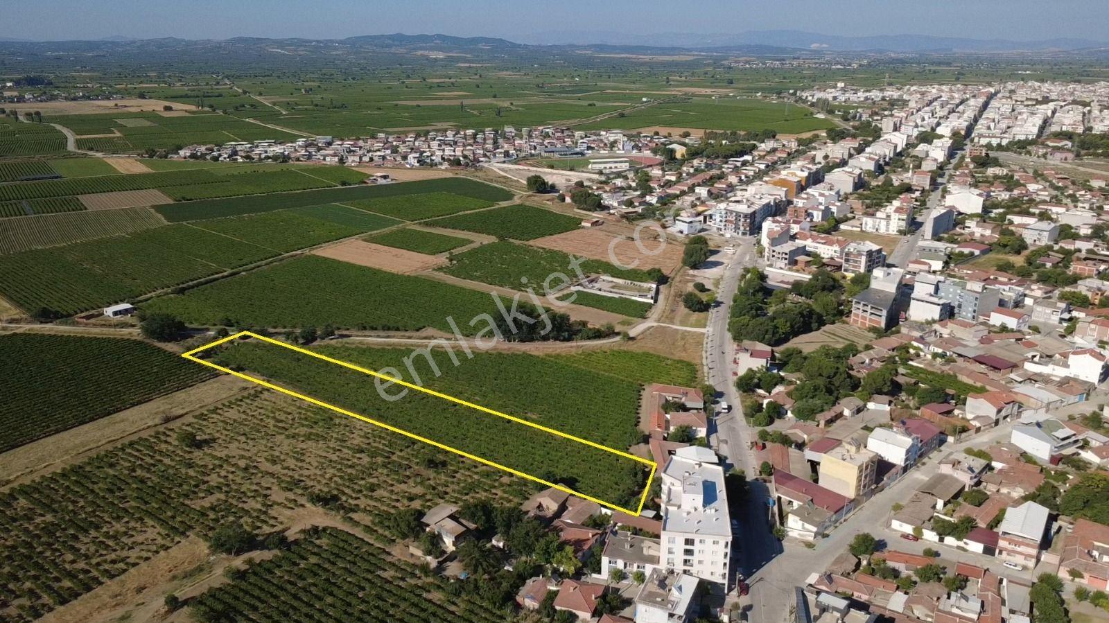 Manisa Saruhanlı İmar Dibi Yatırımlık Bağ 2864 M2 - Görsel 6