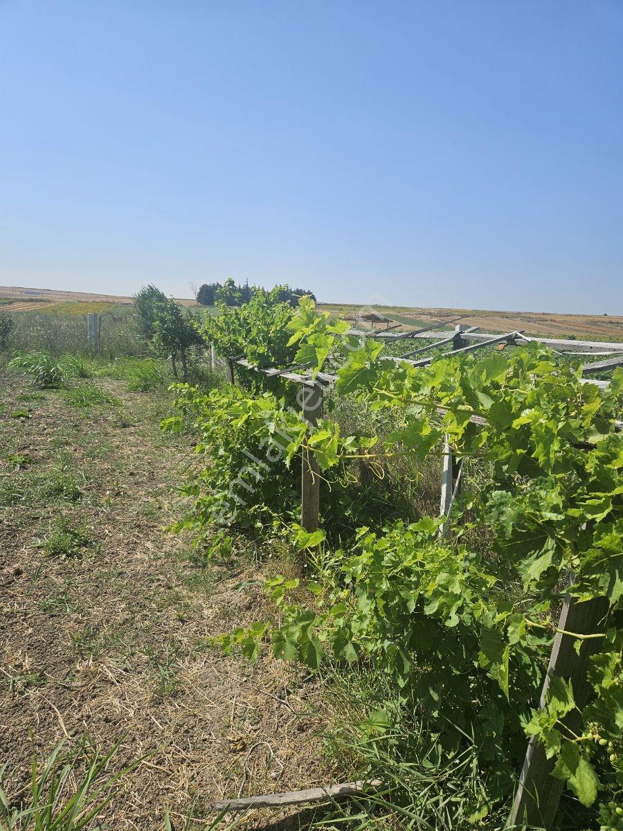 Silivri Kınalı Gişeleri Yanındasatılık İçinde Ev Olanhobi Baçesi - Görsel 18