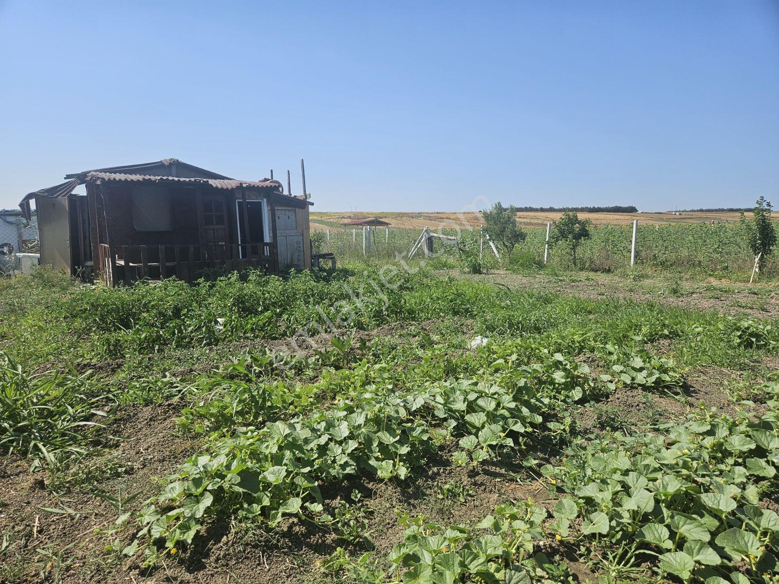 Silivri Kınalı Gişeleri Yanındasatılık İçinde Ev Olanhobi Baçesi - Görsel 7