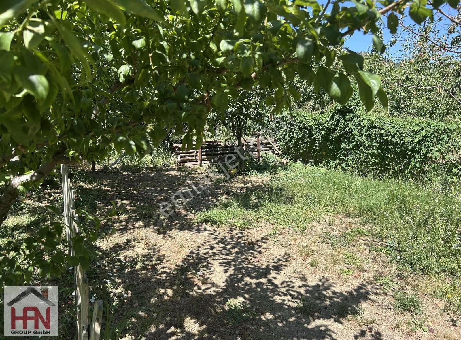 Barakfakıh De Müstakil 500m2 Arsa Ve Ev - Görsel 3