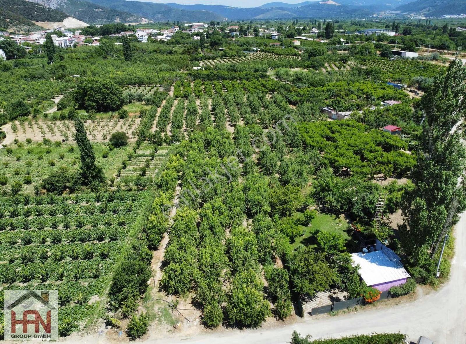 Barakfakıh De Müstakil 500m2 Arsa Ve Ev - Görsel 29