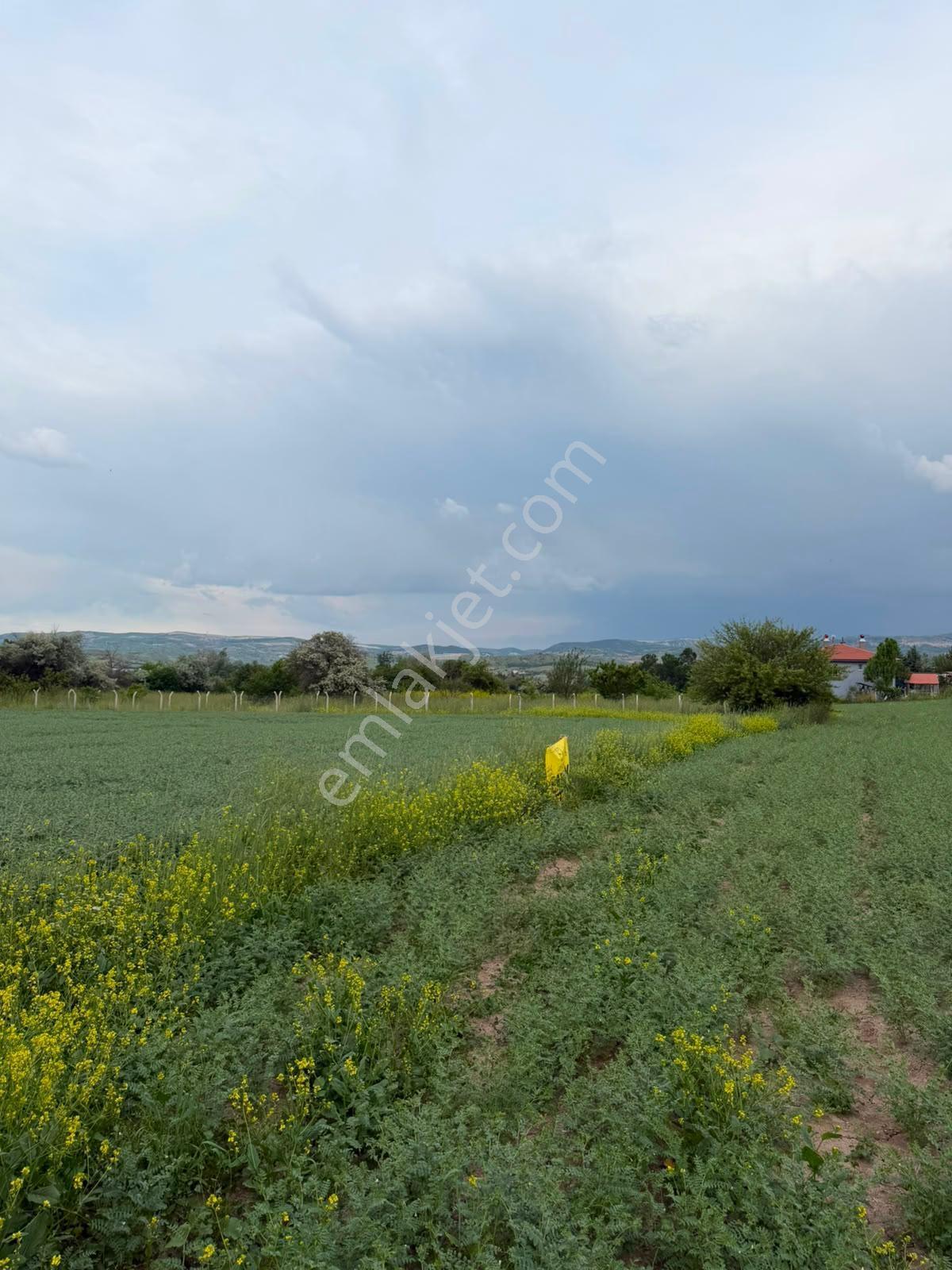 Karalar Mah. 980 M2 Bahçelik Yolu Mevcut Parsel - Görsel 16