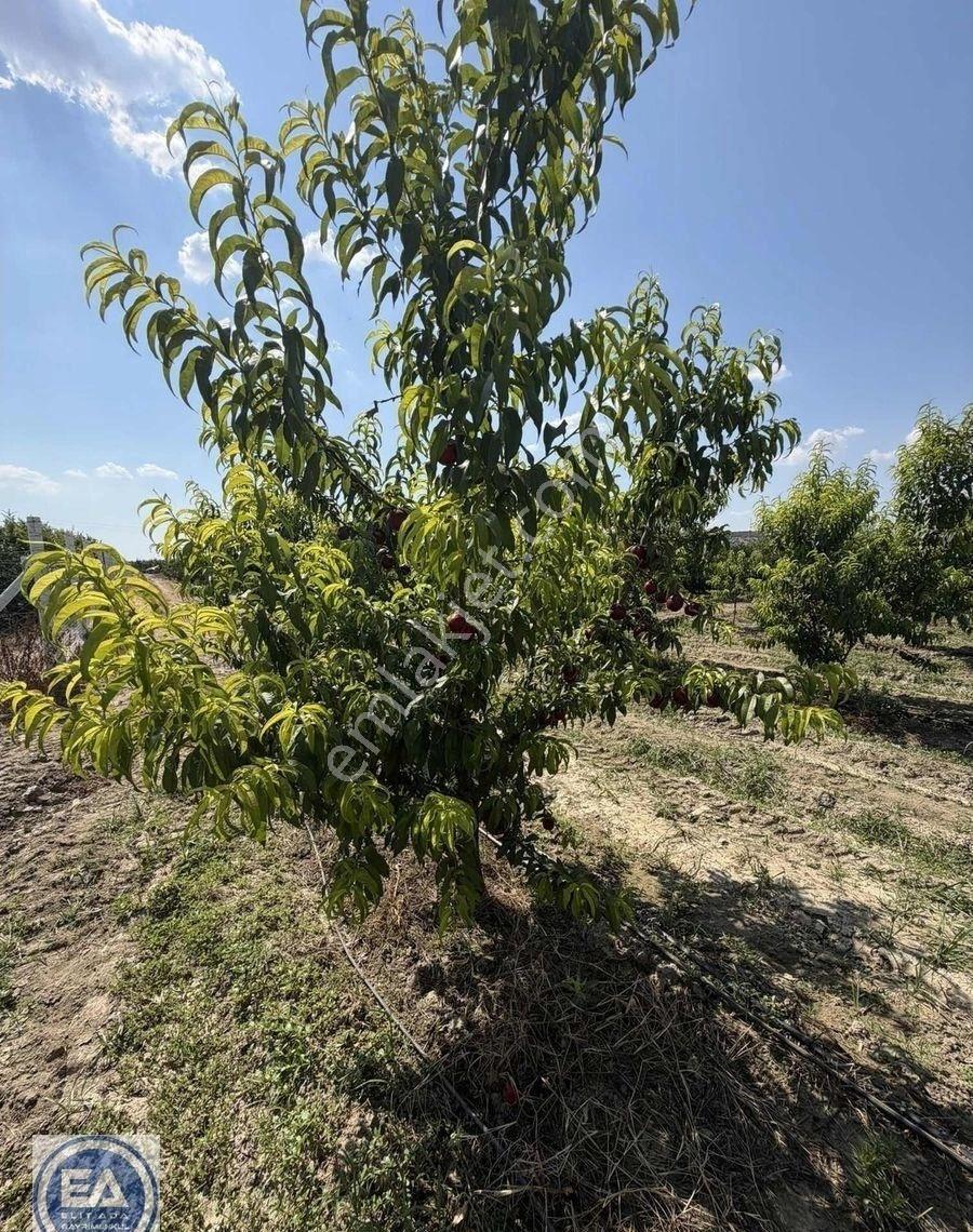 Kuşadası Davutlar'da Ful Manzaralı Eşyalı Havuzlu Satılık - Görsel 9
