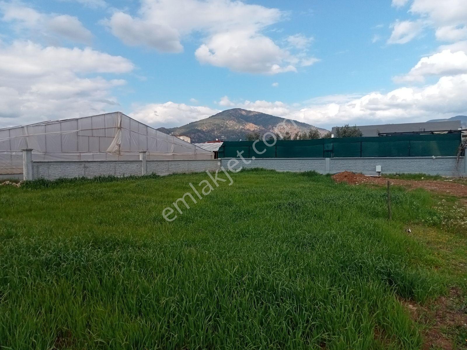Falcon Dan Karaçulha Da Fırsat 480m² Tarla - Görsel 13