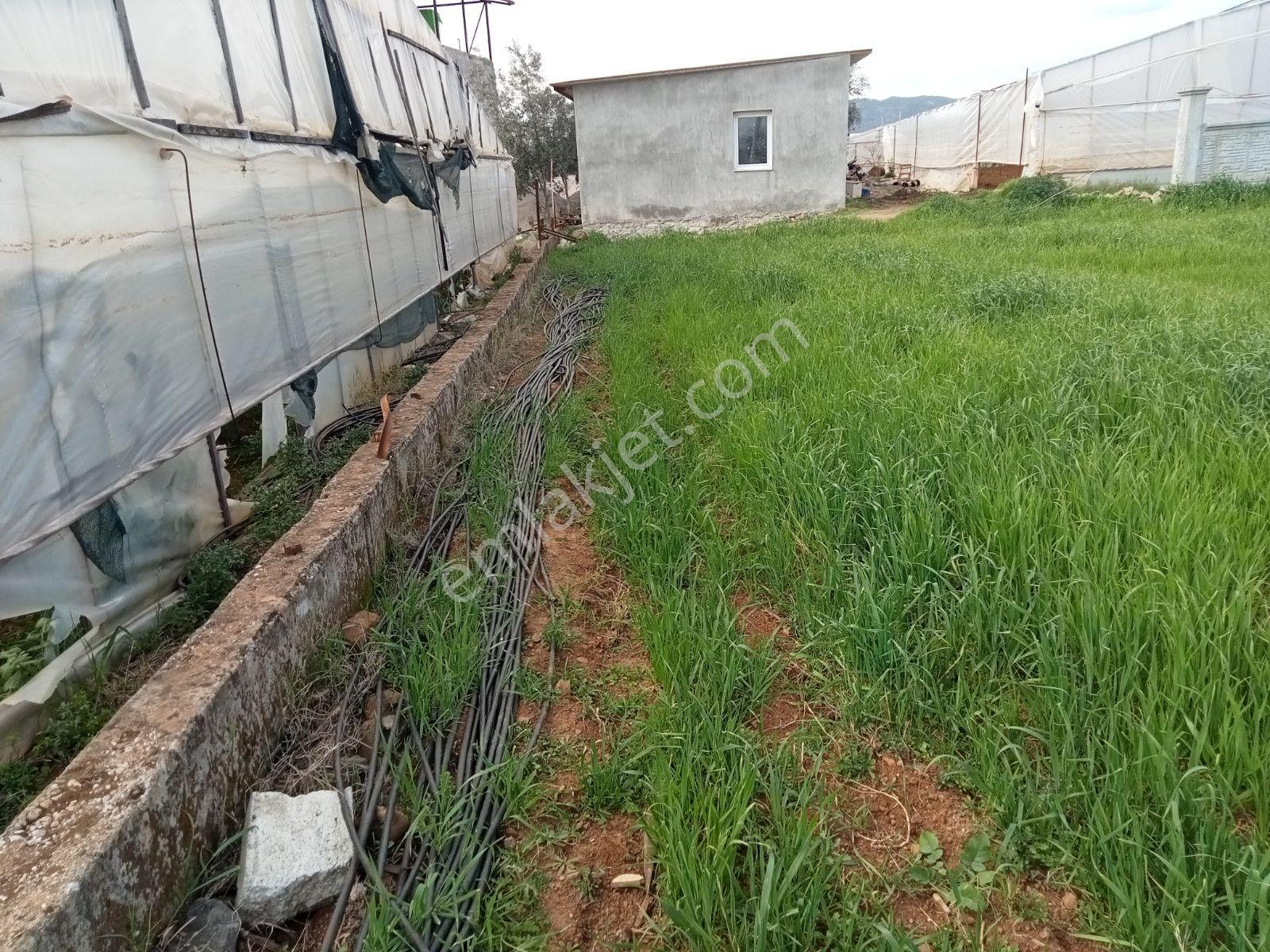 Falcon Dan Karaçulha Da Fırsat 480m² Tarla - Görsel 9