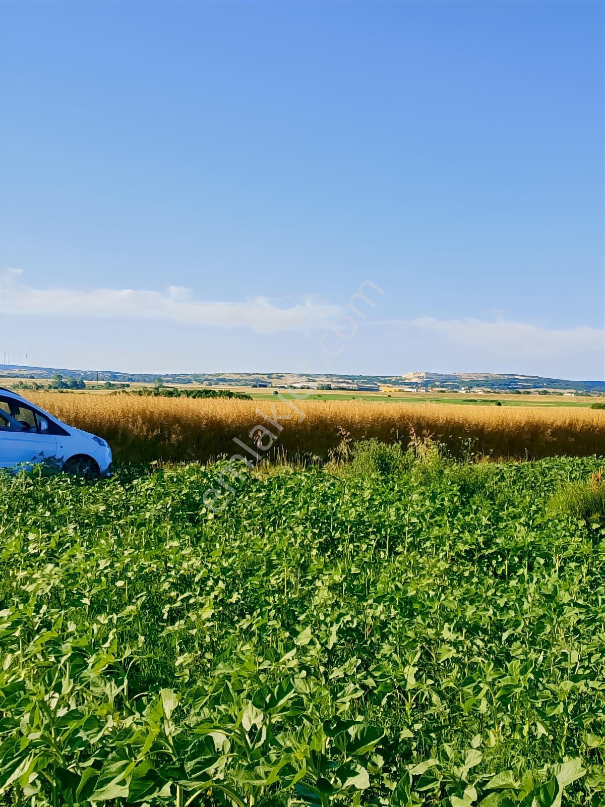 Arsa Gibi Süper Konumda Elektrik Su Yol Başında Tek Tapu 1263 M - Görsel 17