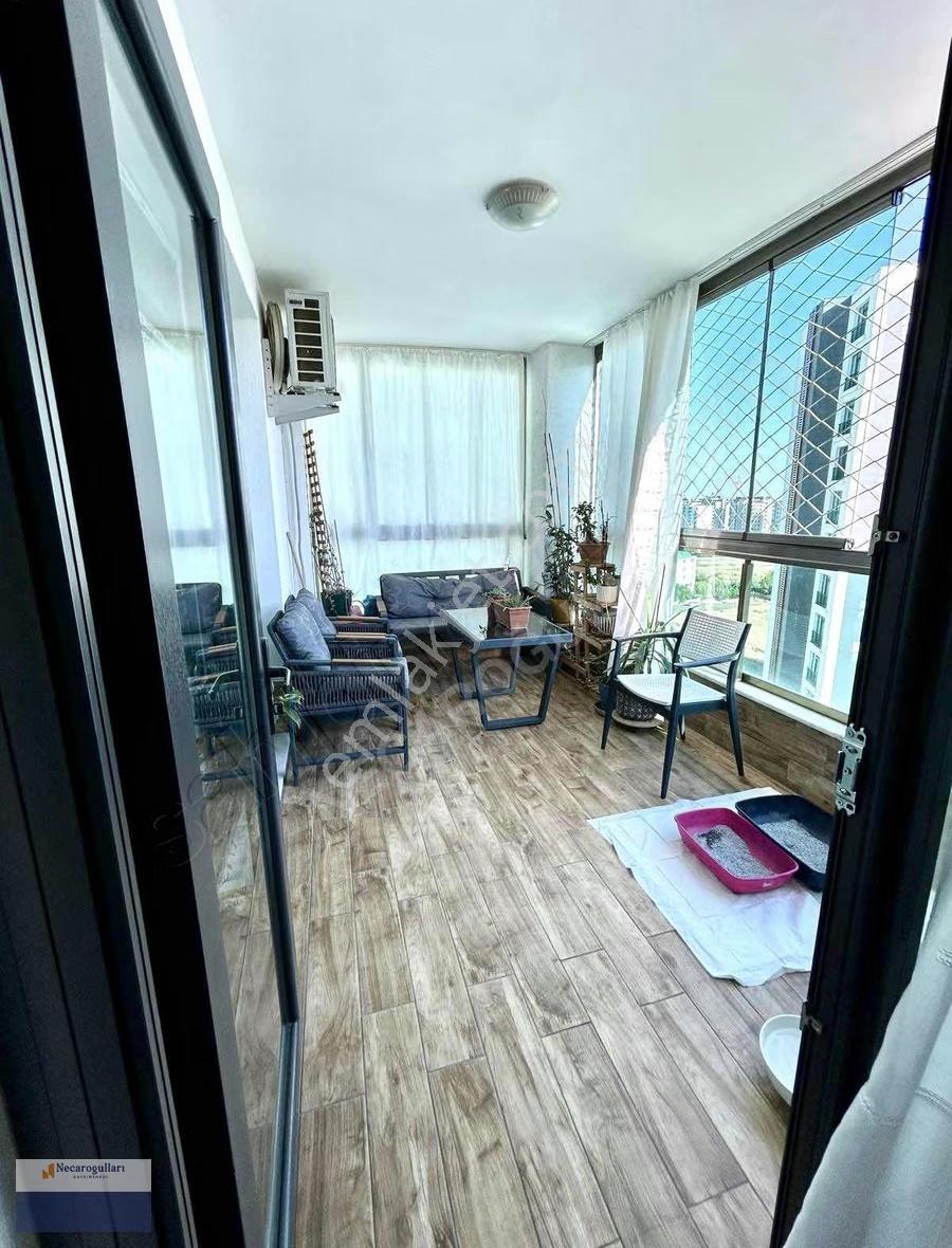 Necaroğullarından Mastfıroş Caddesi Üzerinde 3,5+1 - Görsel 5