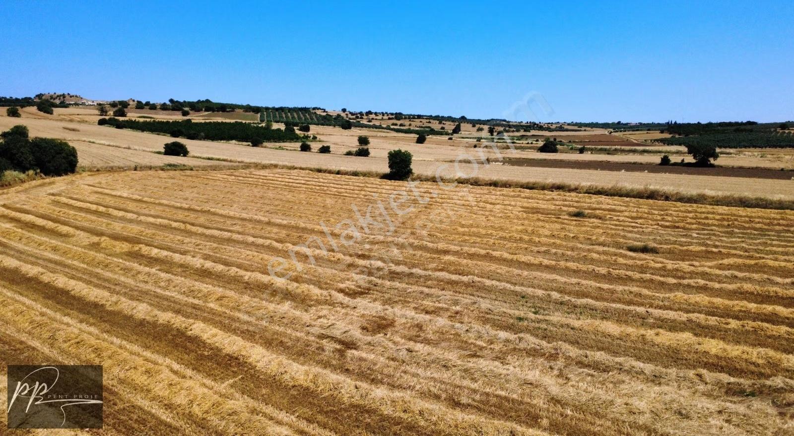Kuşcenneti'nde Satılık 3.710 M2 Tarla - Görsel 4