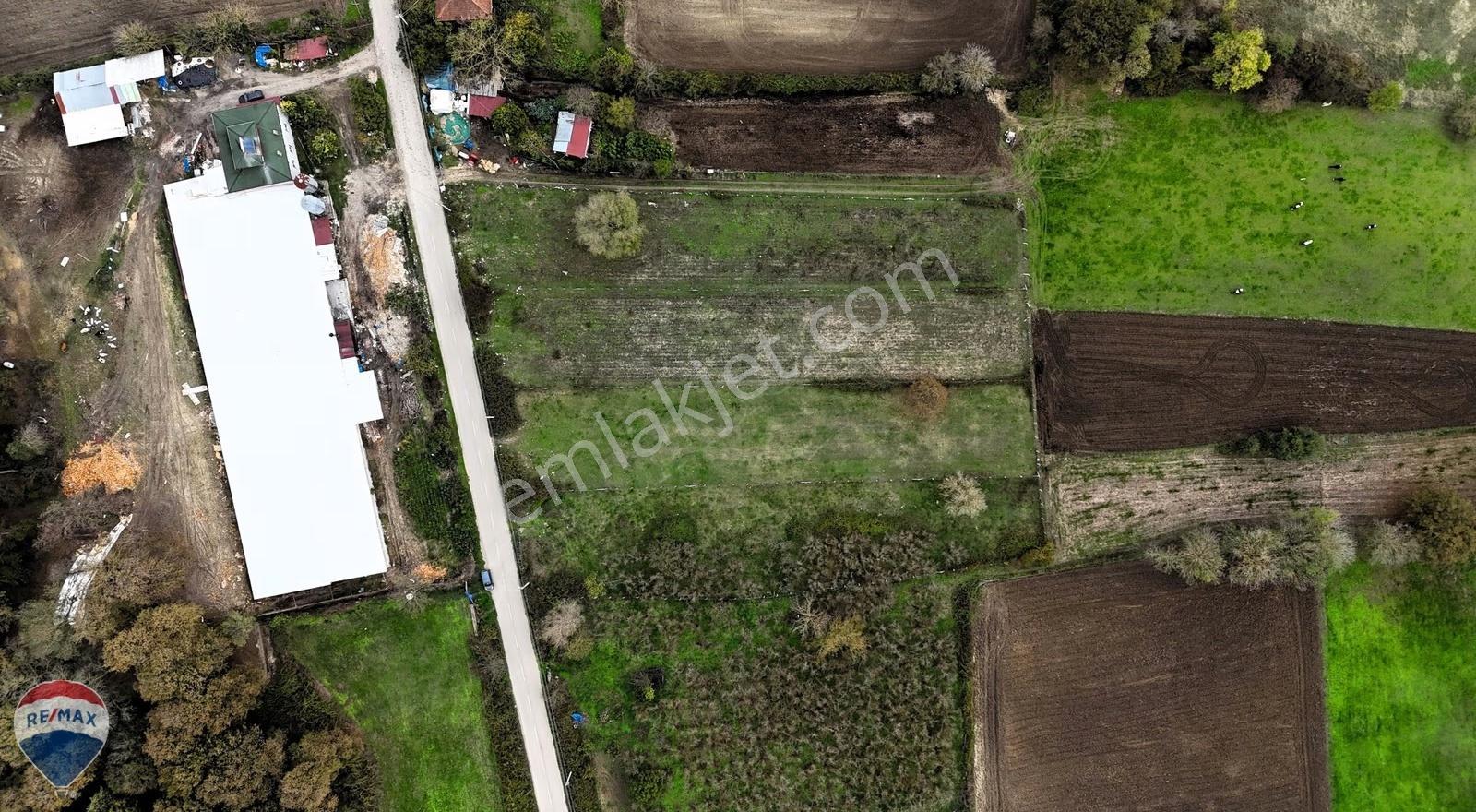 Sakarya Kaynarca Turnalı Mahallesinde Göl Manzaralı 419m2 Arsa - Görsel 8