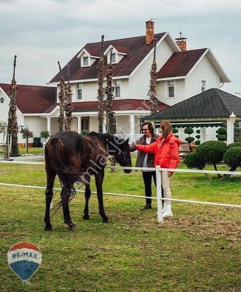 Çaybaşı Fuadiye Köyünde Yatırımlık Arazi - Görsel 9