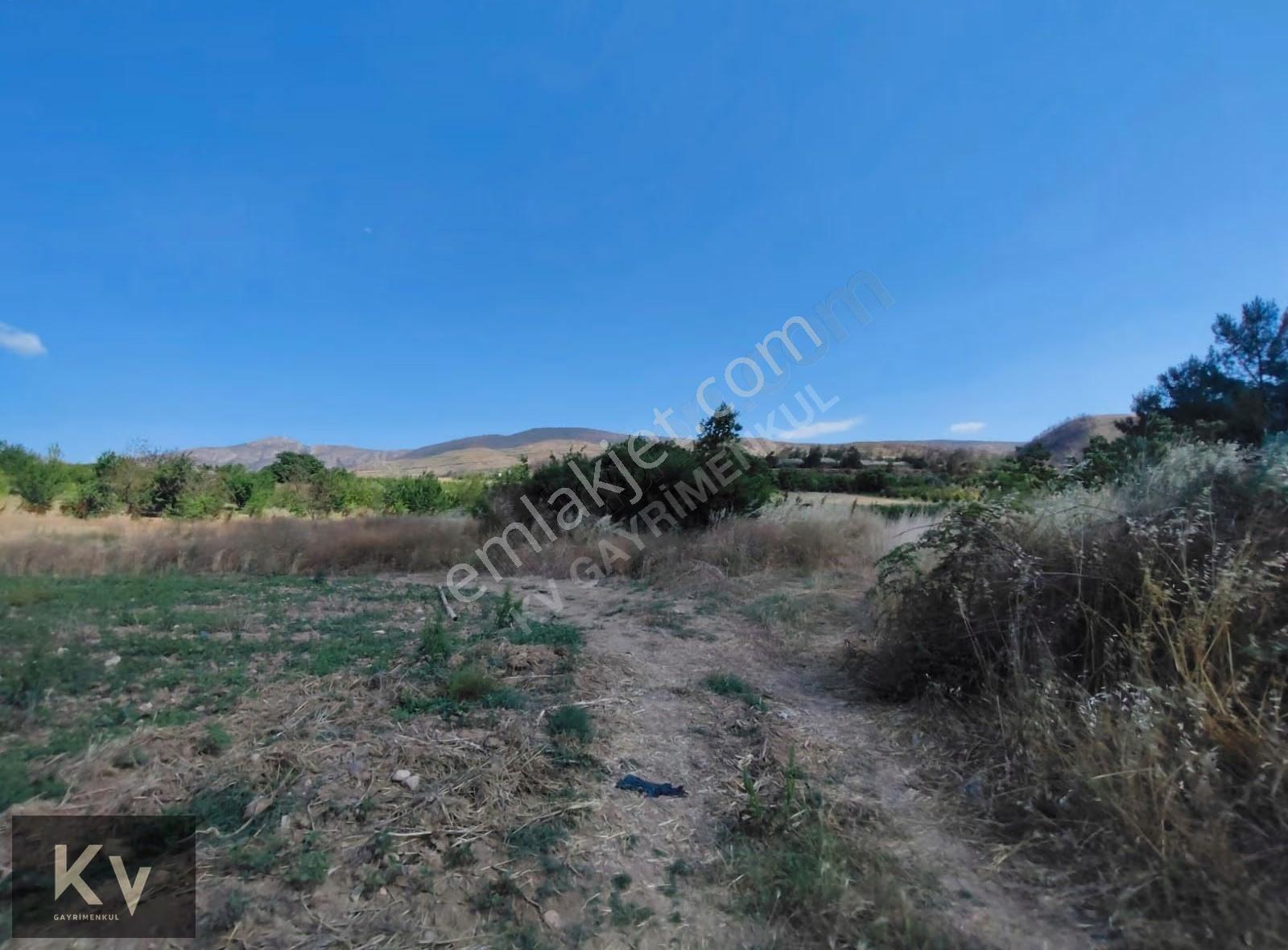 Geyve Bayat Köyünde Satılık 1.836 M2 Tarla - Görsel 5